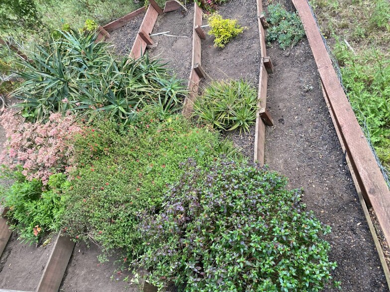 Building Photo - 152 Paseo Bonito Ln