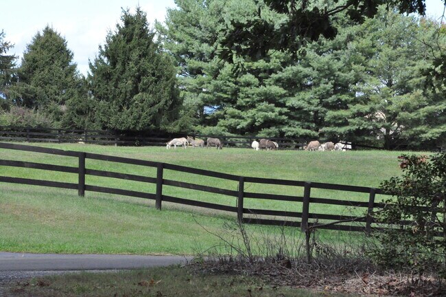 Building Photo - Sparkling Rambler in Park-like Setting on 10 Acres