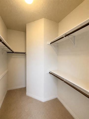 Building Photo - 2024 Belshire Ct