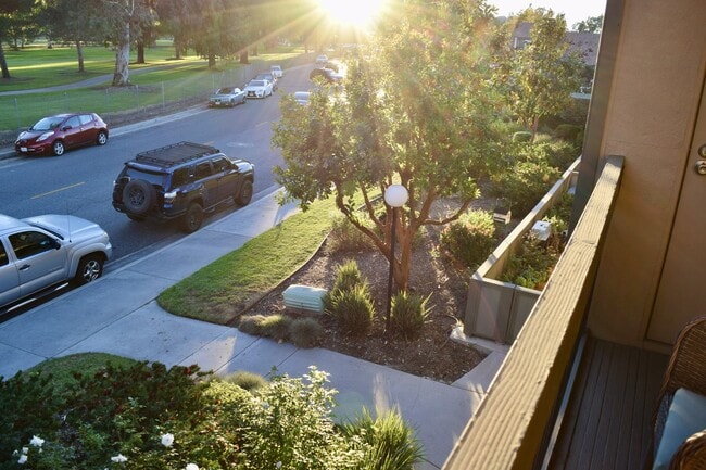 Building Photo - 24525 Trevino Dr