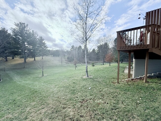 Back Yard - 1405 Emery Cir