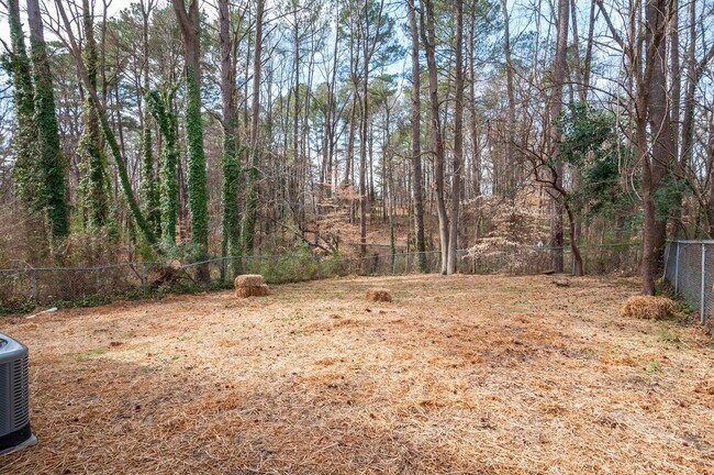 Building Photo - Home near Tobacco Trail in Durham!