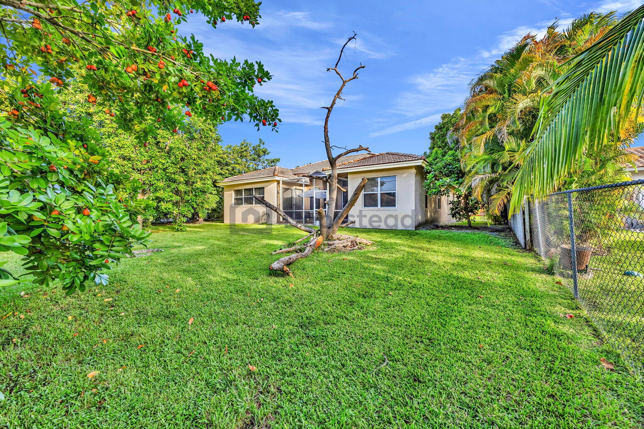 Building Photo - 10555 Paso Fino Dr