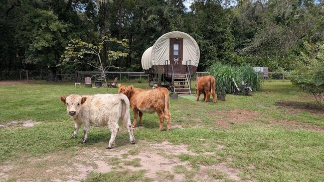 Building Photo - 1208 County Rd 315