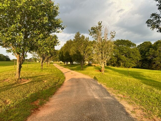 Building Photo - New Brockton, AL!