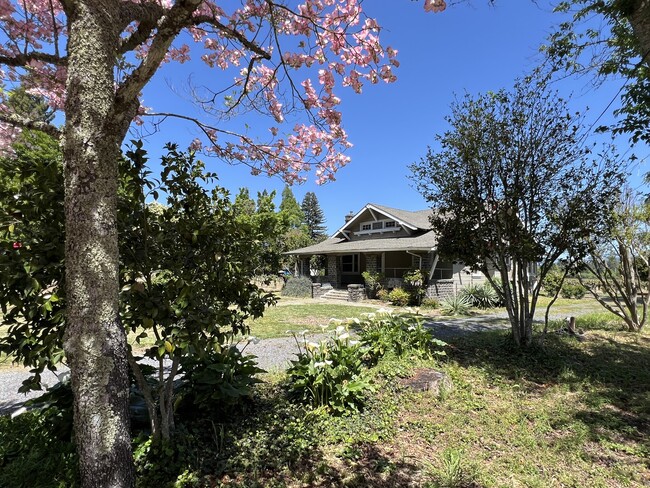Building Photo - 1851 Magnolia Dr