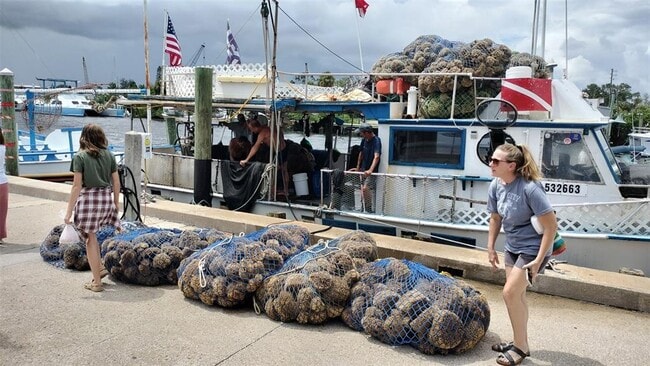 Building Photo - 3813 Staysail Ln