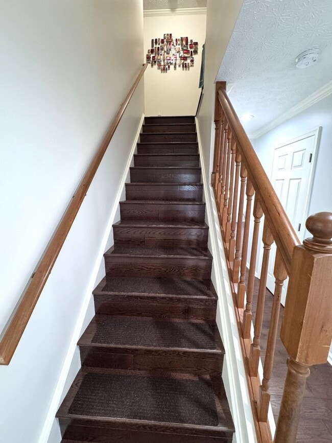 Building Photo - Single Family Home in Harrisonburg