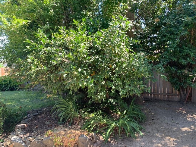 Building Photo - Adorable well maintained 3 bedroom 2 bath ...