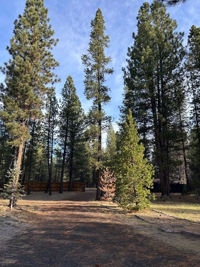 Building Photo - Adorable home in La Pine area, 1.5 acres fully fenced!!