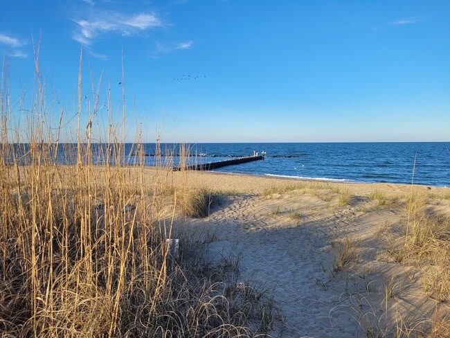 Building Photo - 2 Bedroom, 2.5 Bath Condo with with Ocean ...
