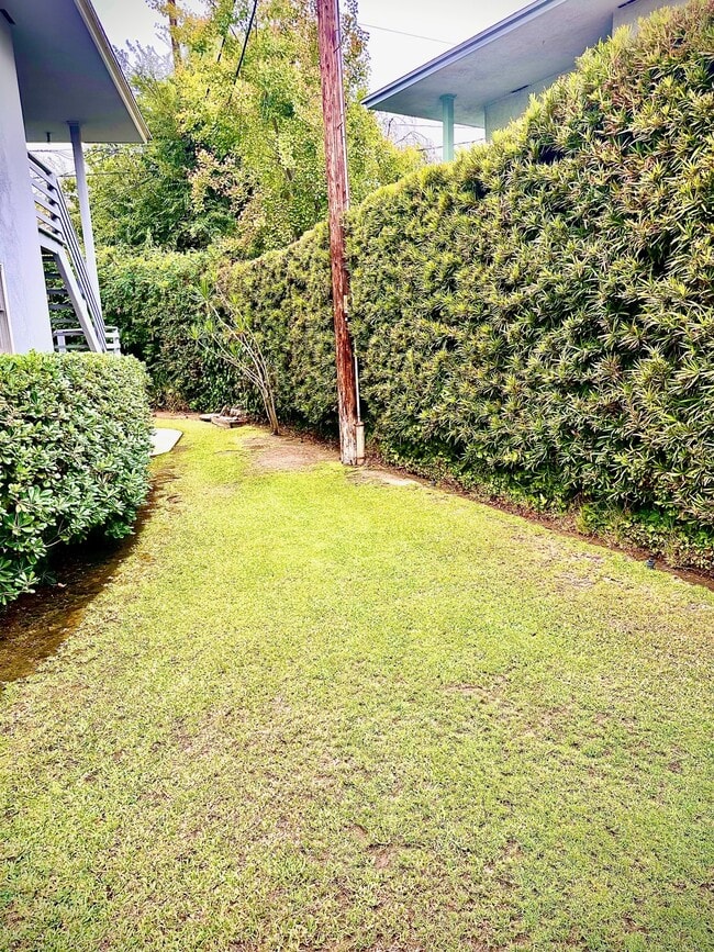 Private Backyard - 1729 Raymond Hill Rd