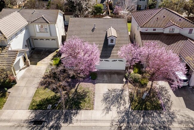 Building Photo - Gorgeous 3 Bedroom In Desired Natomas Park...