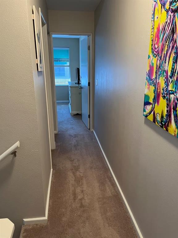 Building Photo - 828 Padua Ln