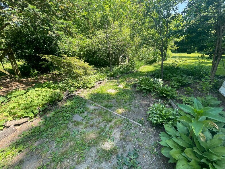 Backyard - 210 Mannion Ave