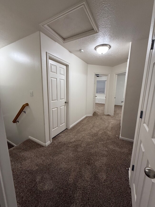 Building Photo - 10542 Sage Flats Way