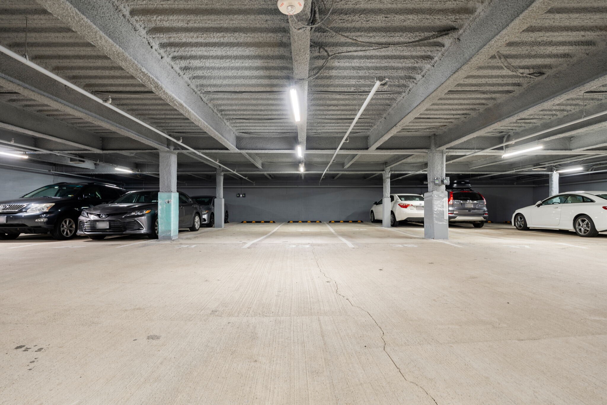 Building Photo - 50 Hichborn St