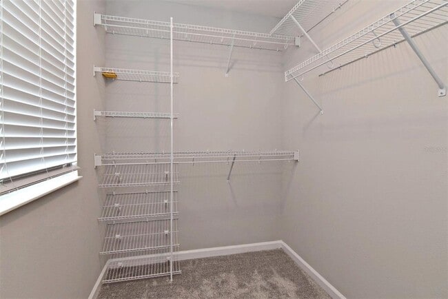 Building Photo - 4365 Campsite Lp