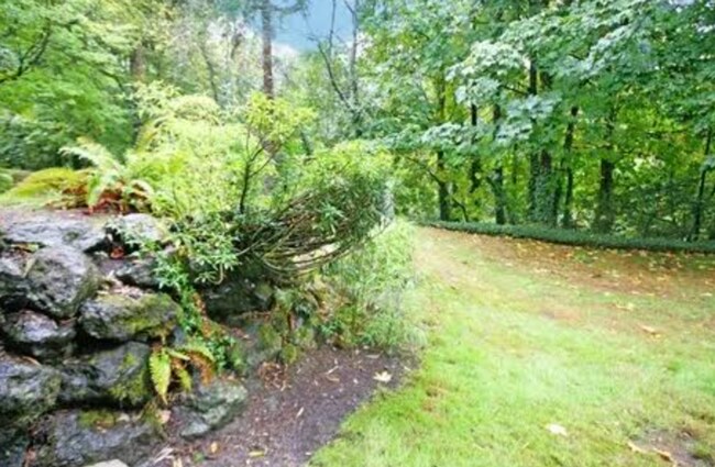 Building Photo - Serene Park-Like Sanctuary | Large Updated Townhome with Wooded Views, 3 bathrooms and 2 large be...