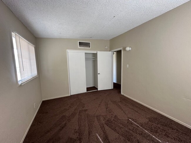 Building Photo - 237 Palm Dr