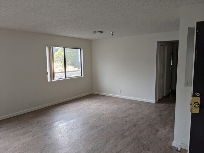 Building Photo - 55 Stenner St