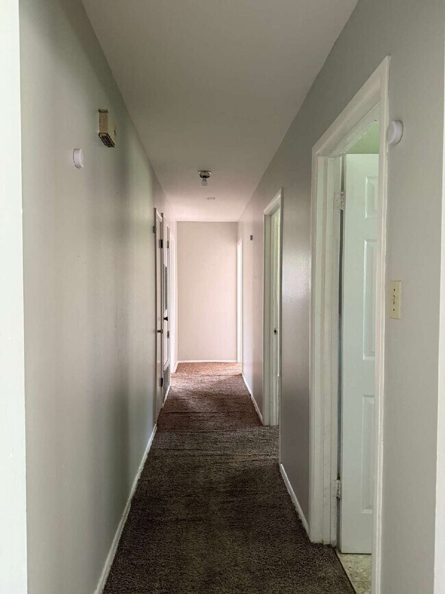 Building Photo - Open Kitchen, Warm Interior, Large Living ...