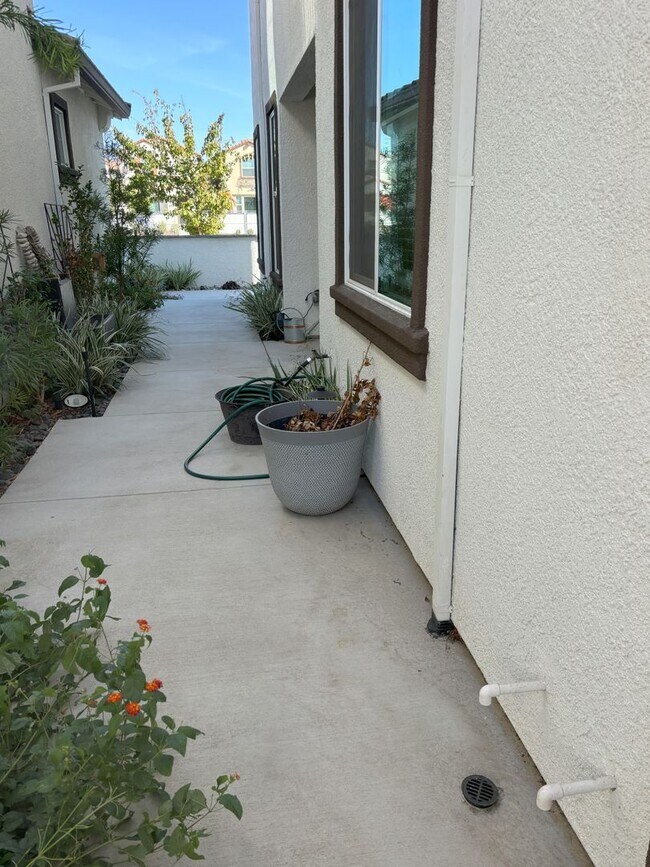 Building Photo - Beautiful Roseville House