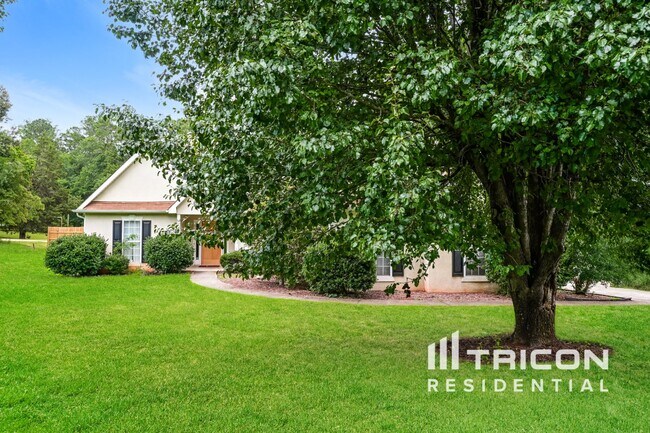 Primary Photo - 101 Trailwood Ln