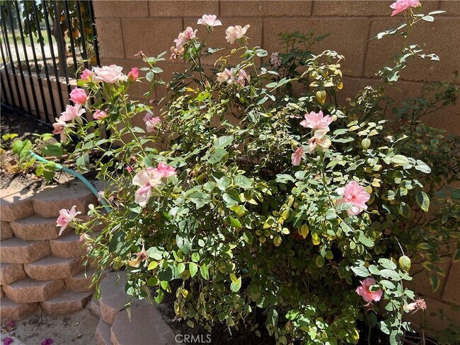 Building Photo - 77184 California Dr