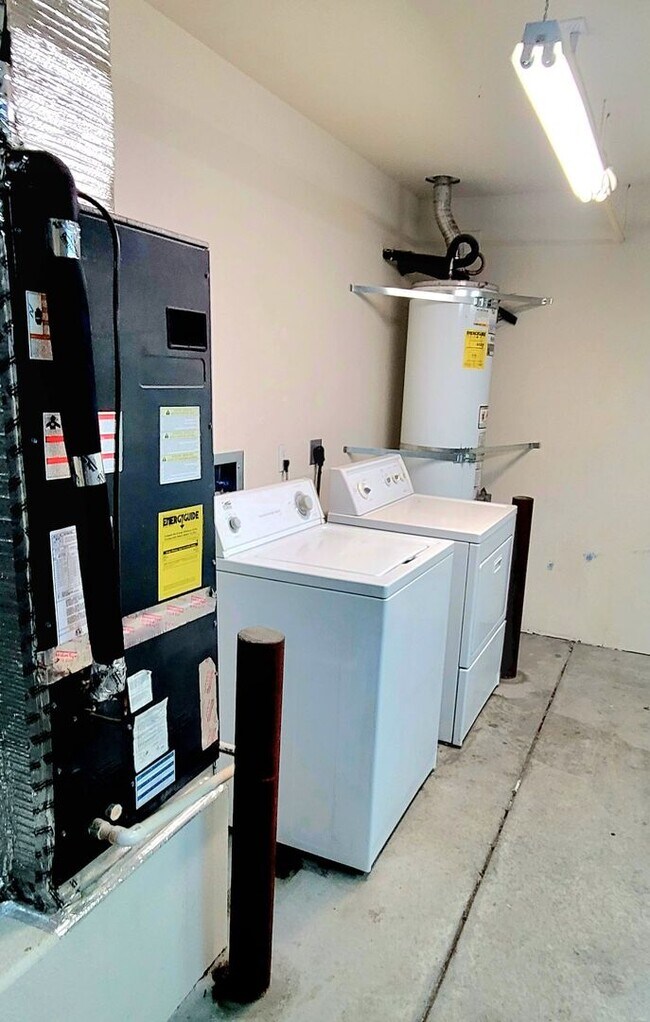 Building Photo - Open Concept 3 Bedroom 2 Bath with Solar.