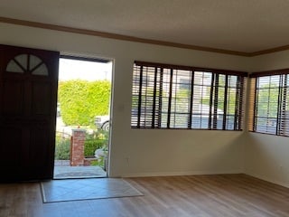 Living Room and Terrace - 2501 Ocean Ave