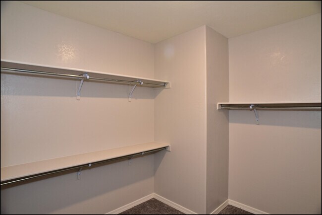 Building Photo - 10617 Hidden Palm Pl