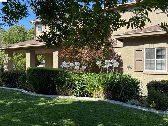 Building Photo - 2301 Mountain Springs Dr