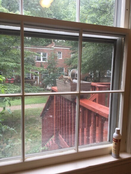 Building Photo - 1401 S Edgewood St