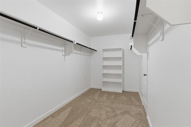 Building Photo - 2621 Moser Ln