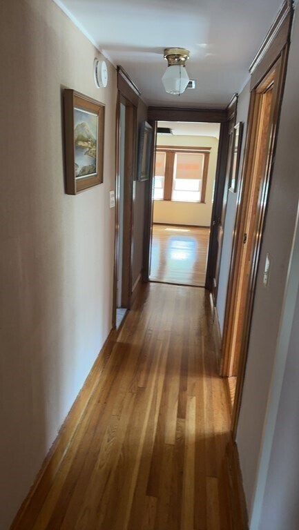 Building Photo - 48 Trapelo St