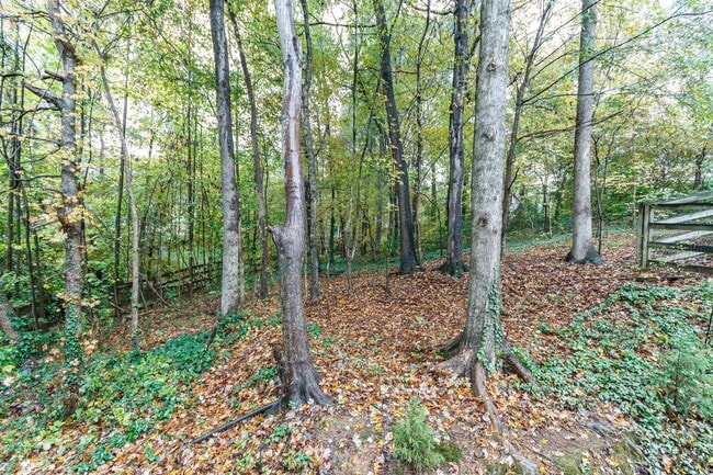 Building Photo - Stunning 5 bedroom 3 bath Carrboro Home with Fenced Yard and Hot Tub!