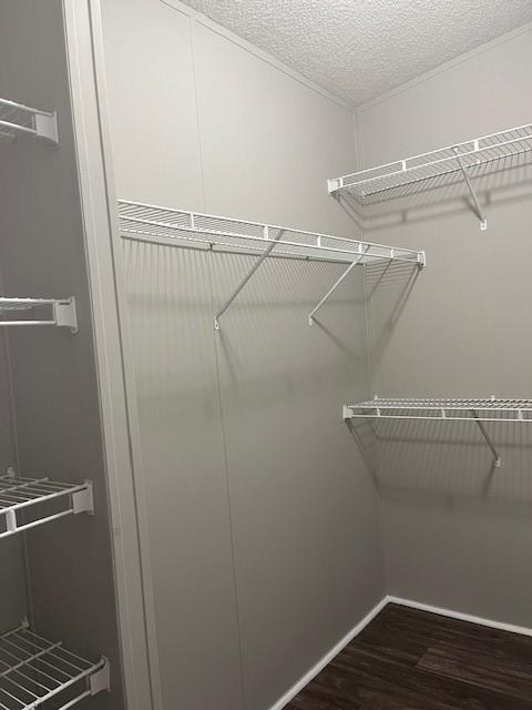 Building Photo - 325 Washington Dr