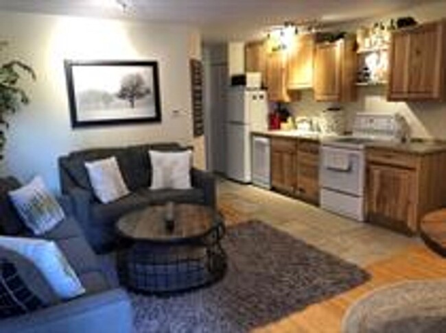 Building Photo - Downtown Breck 1bed/1bath.