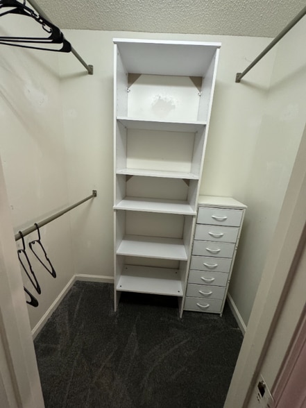 Building Photo - 159 Ja Ramsey Ln