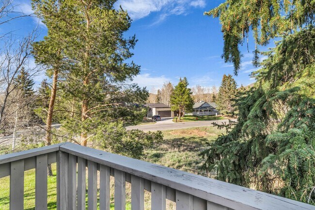 Building Photo - Park Meadows - Brand New Carpeting & Landscaping Included!