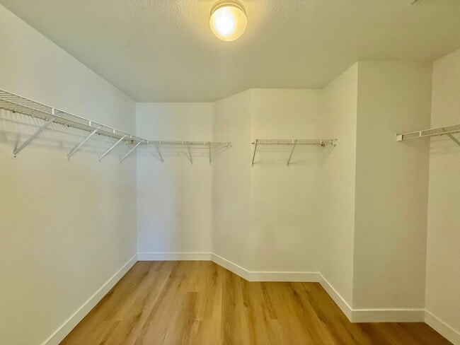 Building Photo - 4 Bedroom Home in Hollister