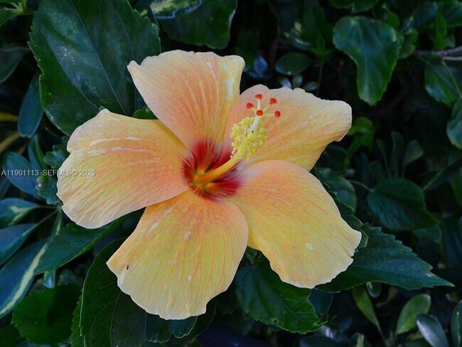 Building Photo - 5151 Jimmy Buffett Mem Hwy