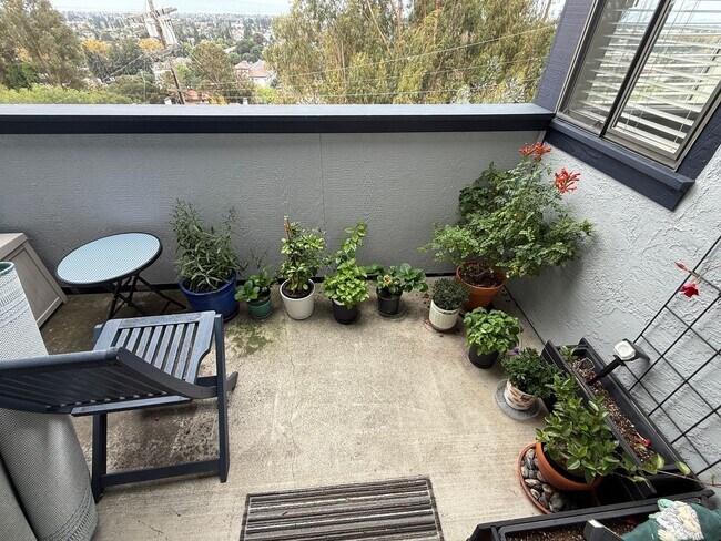 Building Photo - Hayward Condo 1 Bed/1 Bath Updated kitchen, lots of light and Bay views, dogs welcome