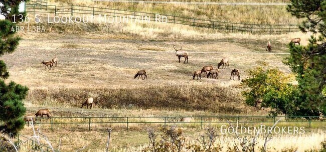Building Photo - 136 S Lookout Mountain Rd