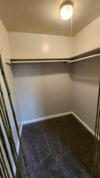 Spacious walk-in closet - 317 Clearfield Ave