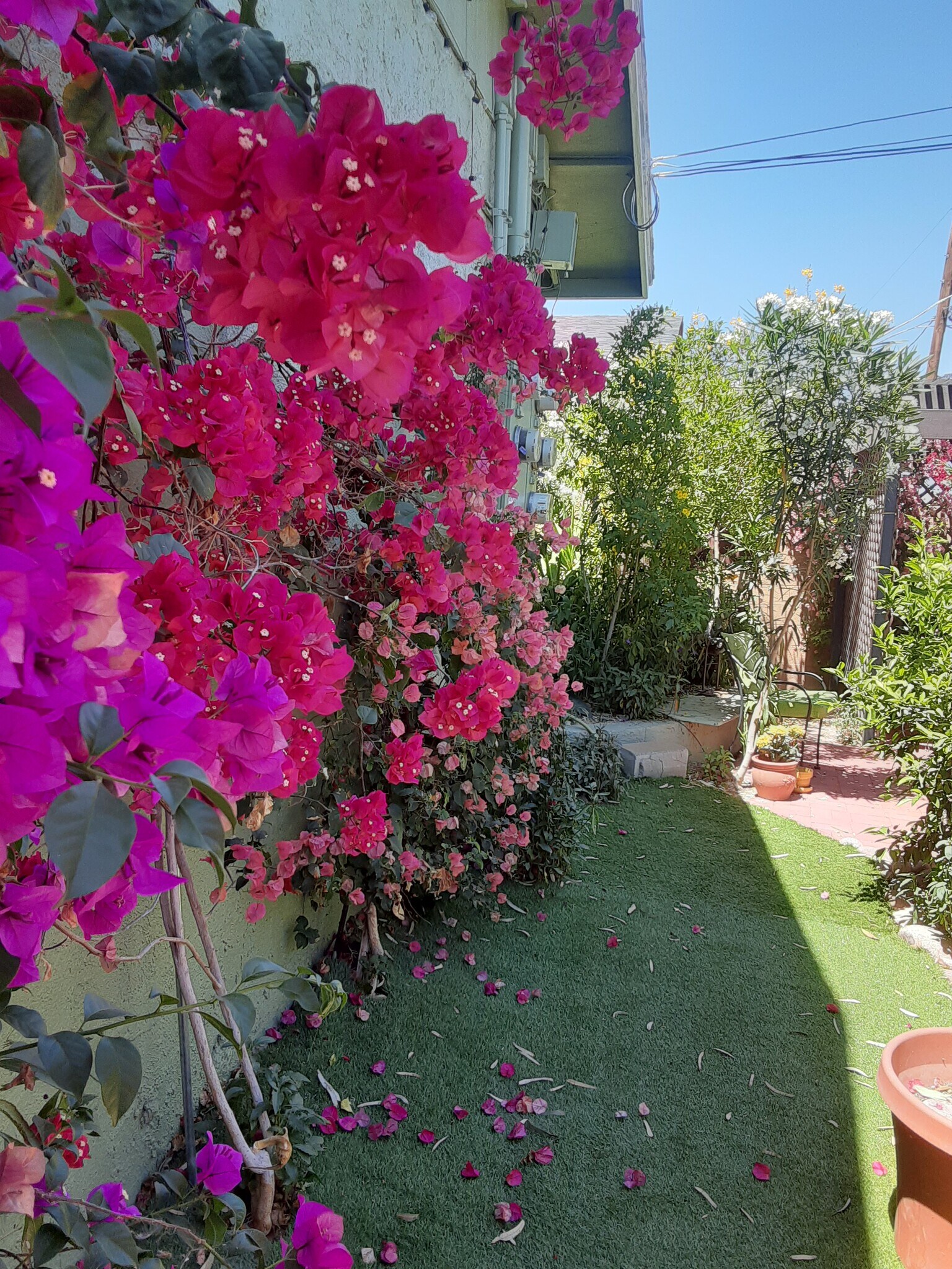 Building Photo - 13223 N 20th St