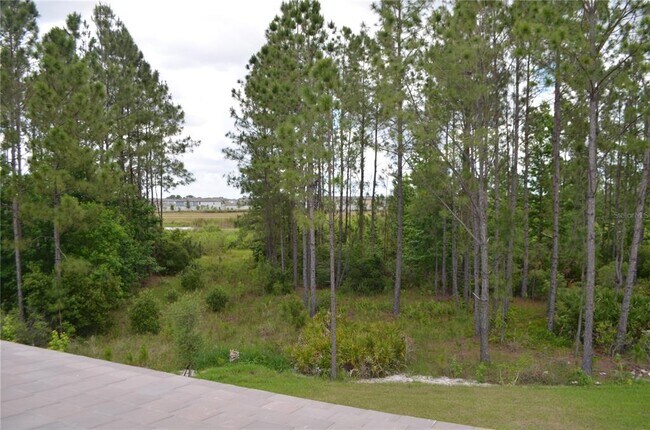 Building Photo - 35311 Big Hawk Dr
