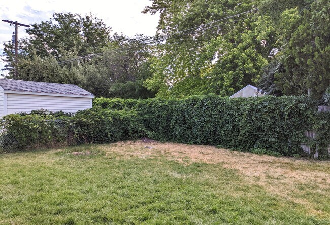 Backyard - 1820 N Afton Cir
