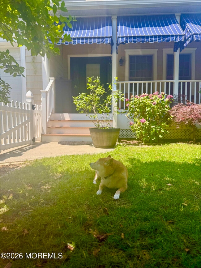 Building Photo - 331 Richmond Ave